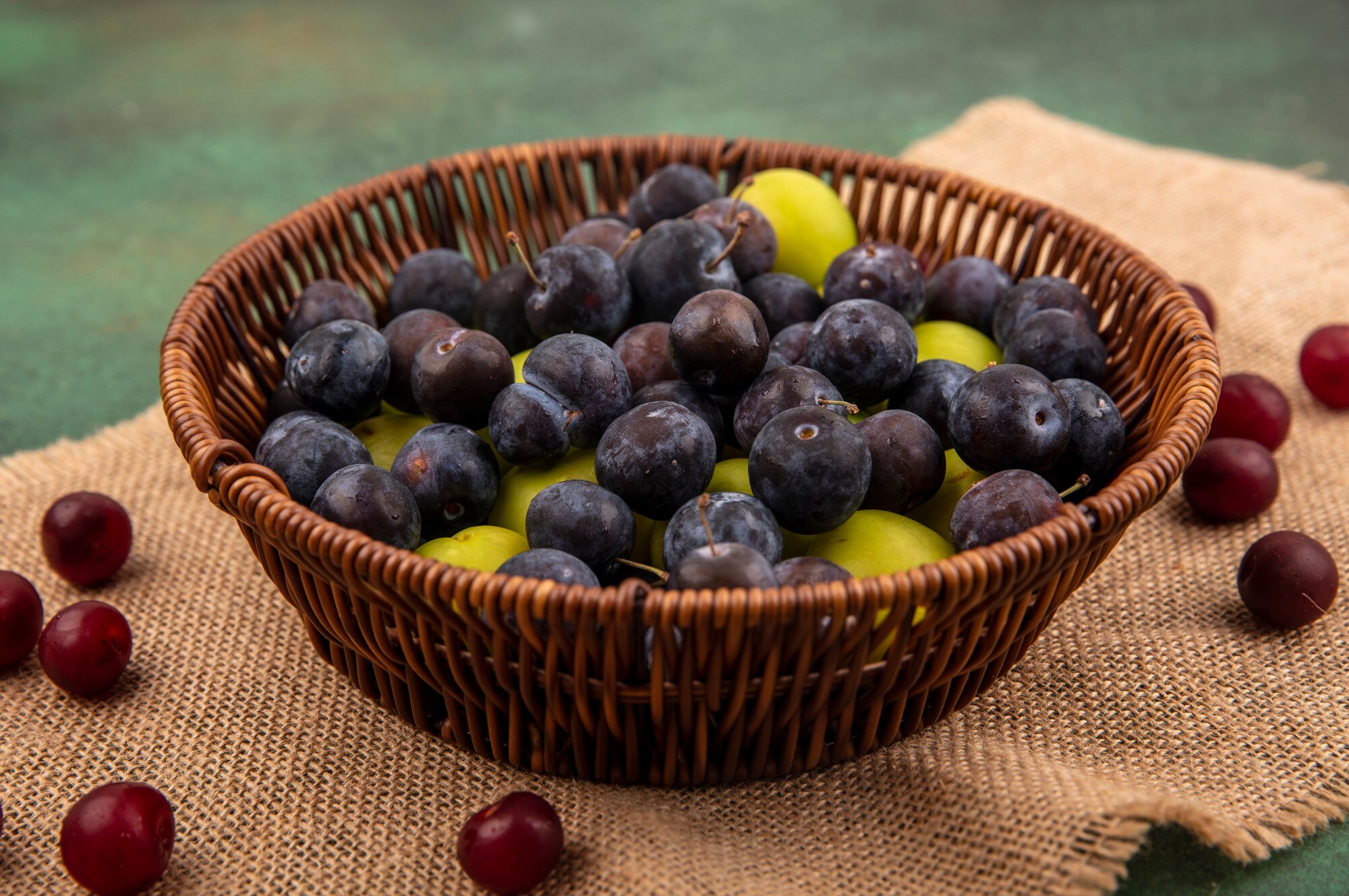 Blueberry biru ungu dalam bekas — pilihan buah popular di Malaysia